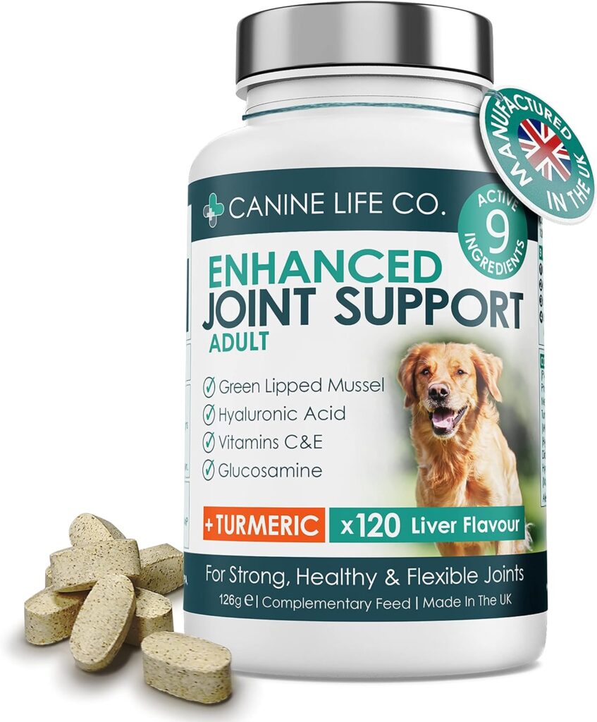 Canine Life Co. Enhanced Adult Dog Joint Supplements With Turmeric, Glucosamine  Green Lipped Mussel | 120 Chewable Tablets | Made In The UK (1 Pot (120 Tablets))