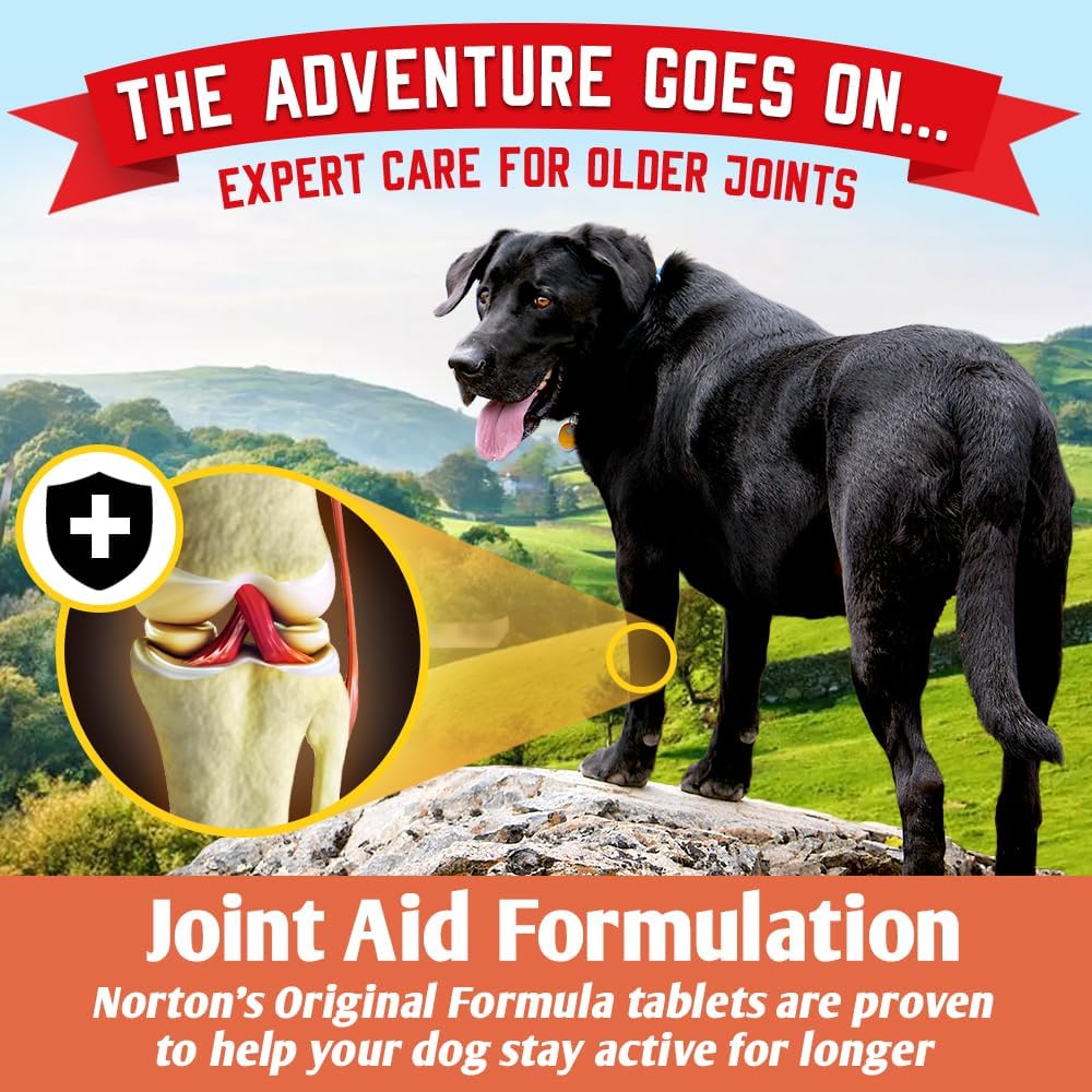NORTONS Dog Joint Care Supplements | 300 Tablets | With Green Lipped Mussel, Glucosamine  Chondroitin, Hyaluronic Acid, Manganese and Vitamins for dog joint care. Aids stiff joints.
