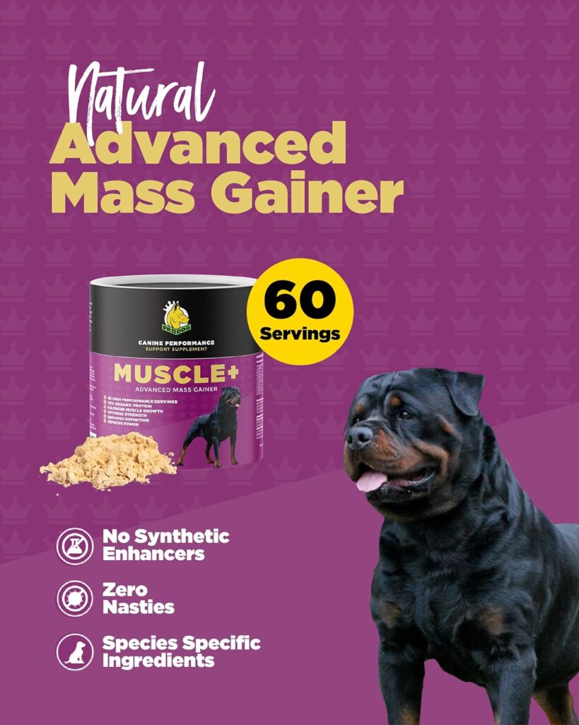 ProDog Muscle+ Advanced Dog Weight Gainer | 100% Natural  Organic Dog Multivitamin Dog Food Toppers for Ultimate Dog Weight Gain | Dog Supplements To Support Nutrition | 60 Servings