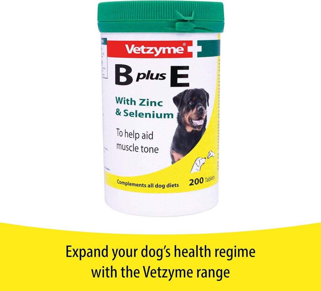 Vetzyme | Conditioning Dog Supplements, Promotes Health  Vitality | Supports Immune System | Nutritional Savoury Treat (500 Tablets)